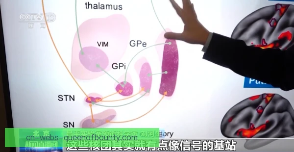 帕尔默关键指标变化,进攻效率与射门选择双提升 帕尔默关键指标变化,进攻效率与射门选择双提升